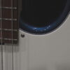 Sadowsky MetroLine Bass VJ 4-21 Ald blm Free Shipping - Image 4