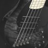 Dingwall Bass Guitar Combustion C3 5 2tb Free Shipping - Image 3