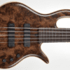 ELRICK GOLD 5 STRING BASS E1517 - Image 5