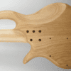 ELRICK GOLD 5 STRING BASS E2617 - Image 3