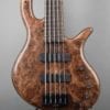 Elrick Gold 5 String Bass E5217