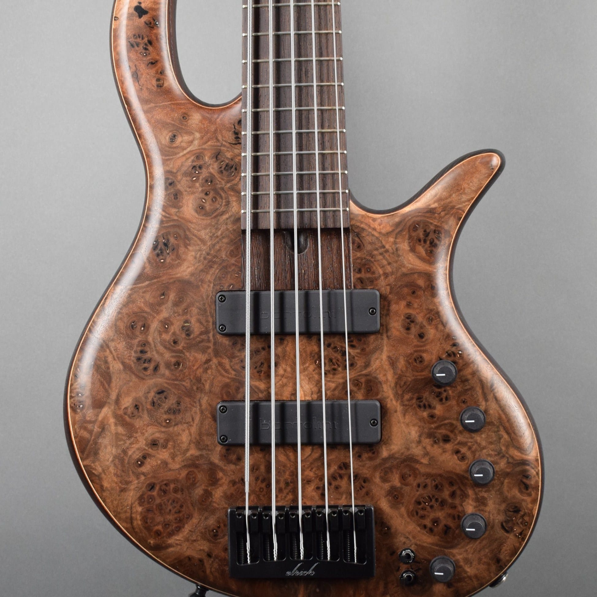 Elrick Gold 5 String Bass E5217 - Bass Gear Direct