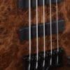 Elrick Gold 5 String Bass E5217 - Image 7