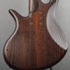 Elrick Gold 5 String Bass E5217 - Image 5