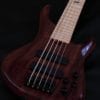 ROSCOE BASS LG CUSTOM 5 STRING - Image 2