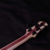 ROSCOE BASS LG CUSTOM 5 STRING - Image 7